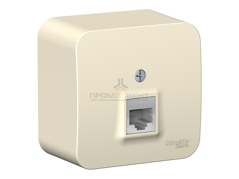 Розетка компьютерная RJ45 кат.5E Blanca Schneider Electric молочная изол.пластина