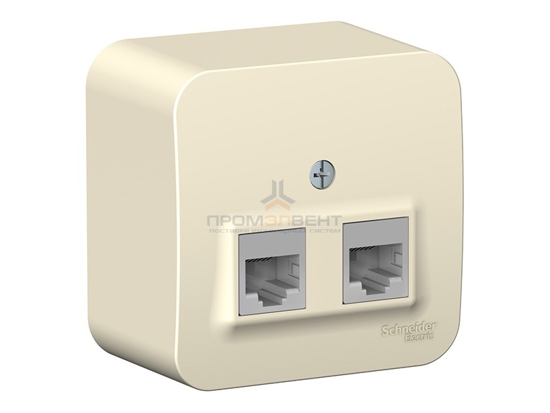 Розетка 2-ая компьютерная RJ45 кат.5E Blanca Schneider Electric молочная изол.пластина
